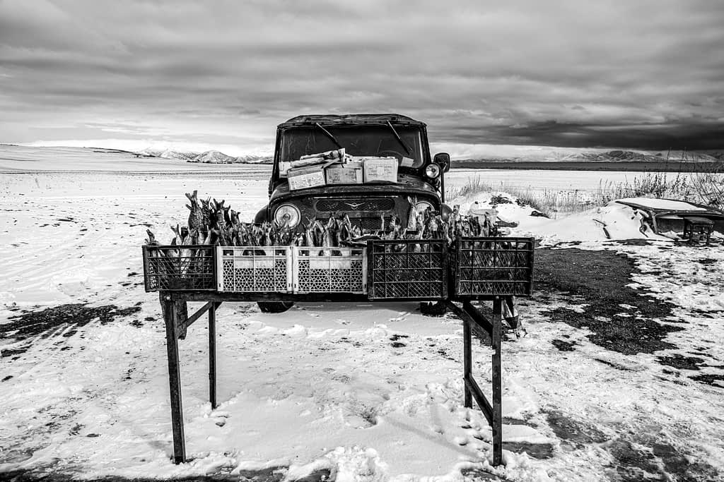 Sur les routes d'Arménie